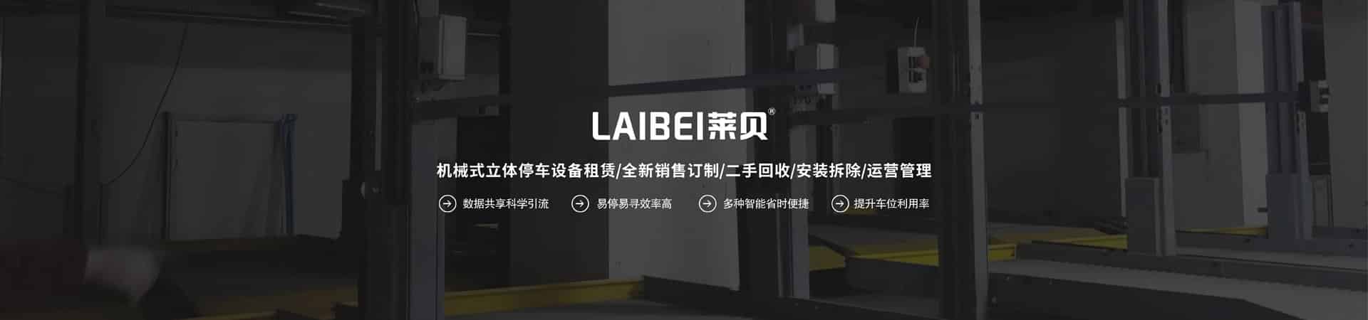 简易升降PJS两柱式机械立体车库